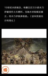 七次郎国产在线